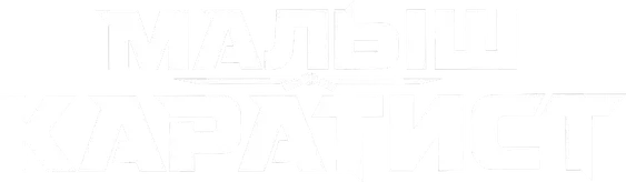Малыш-каратист