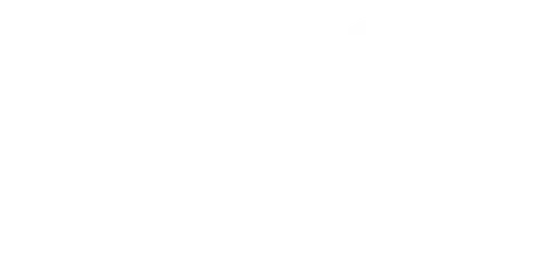 Шрам