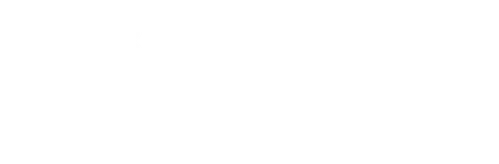 Невидимый гость