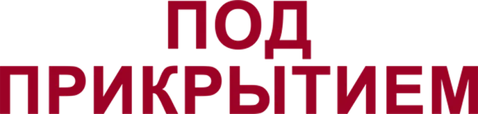 Под прикрытием