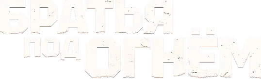 Братья под огнём