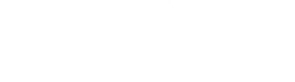 Дом удовольствий