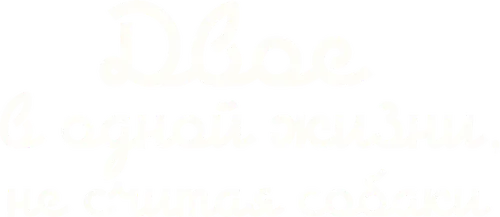 Двое в одной жизни, не считая собаки