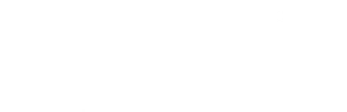 Позывной «Пассажир»