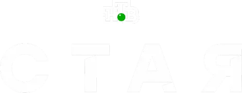 Стая