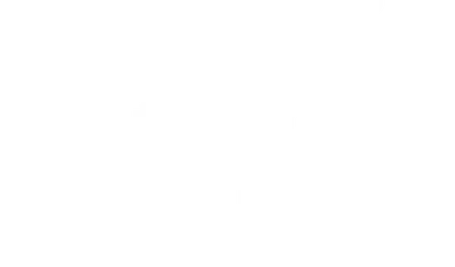 Гудбай, Америка