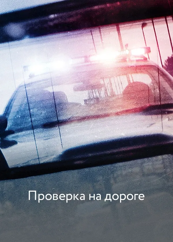 Проверка на дороге
