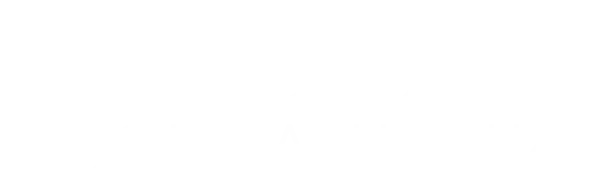 Ночь возвращения