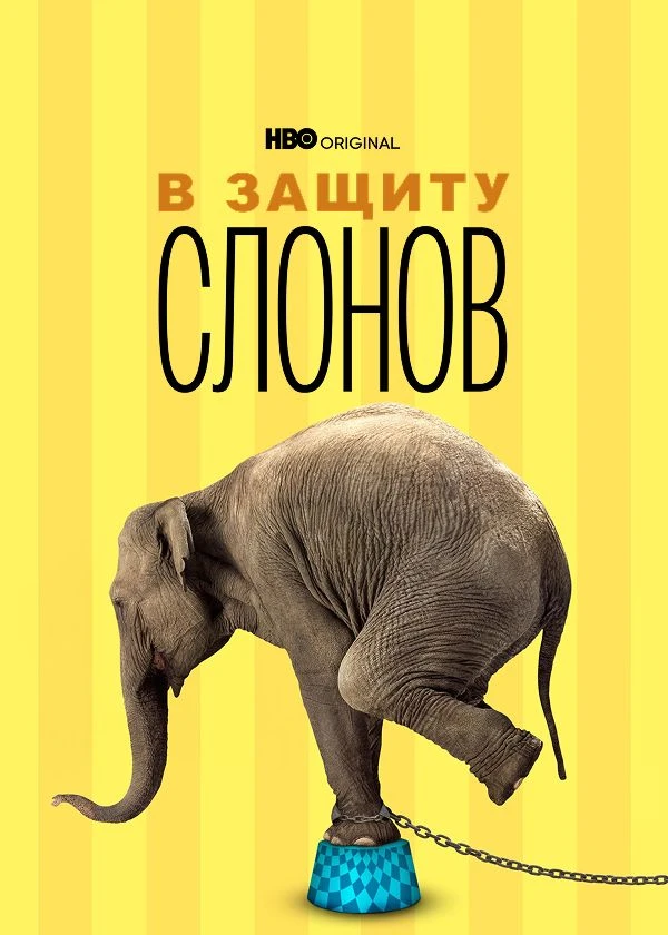 В защиту слонов