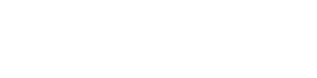 Лихорадка логотип