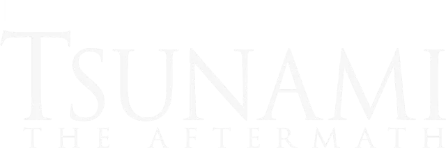 Tsunami: The Aftermath