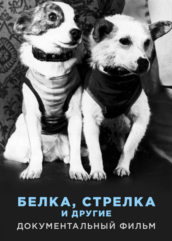 Белка, Стрелка и другие