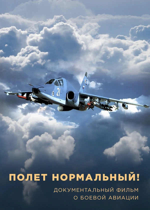 Полет нормальный!