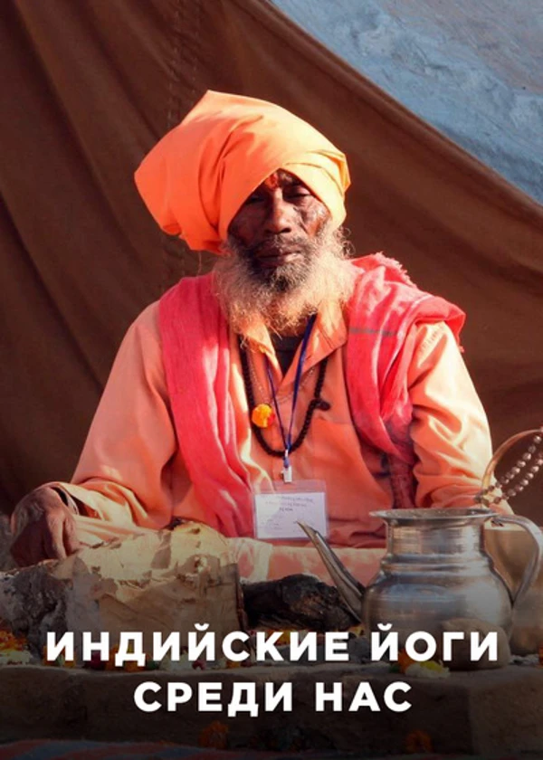 Индийские йоги среди нас