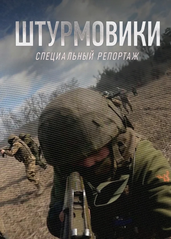 Штурмовики