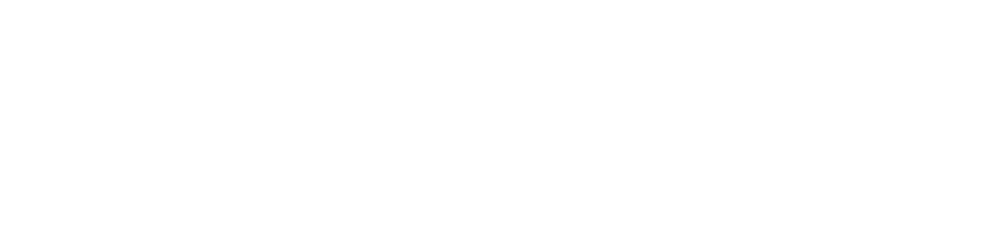 Ультиматум Борна