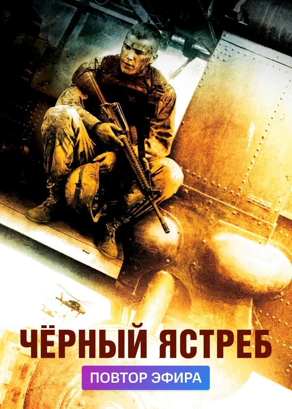 Чёрный ястреб