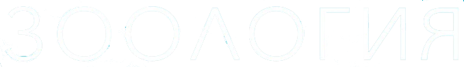 Зоология