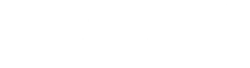 Идеальная жена