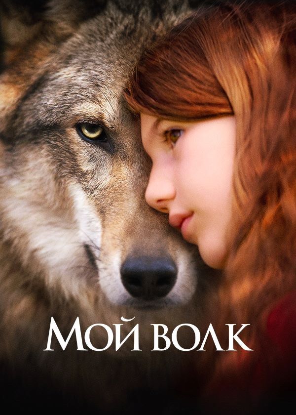 Мой волк Мой волк