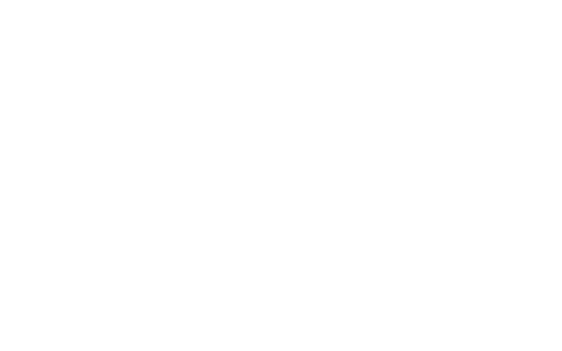 Лулу и Бриггс