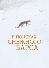 В поисках снежного барса