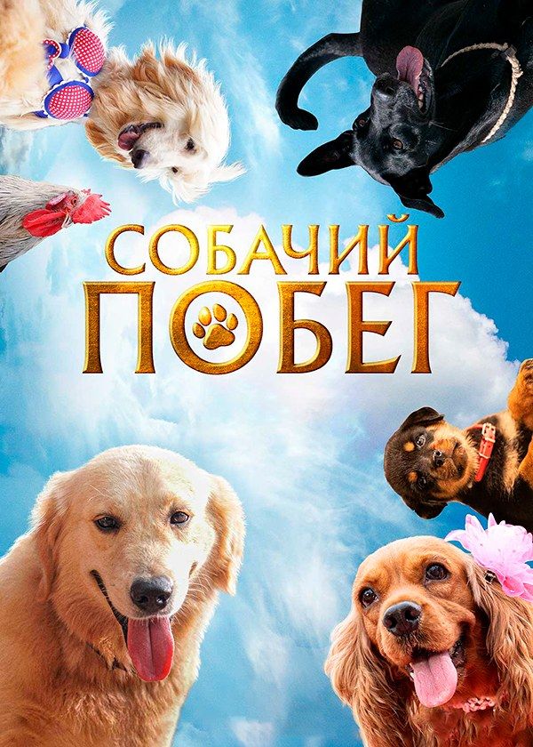 Собачий побег Собачий побег