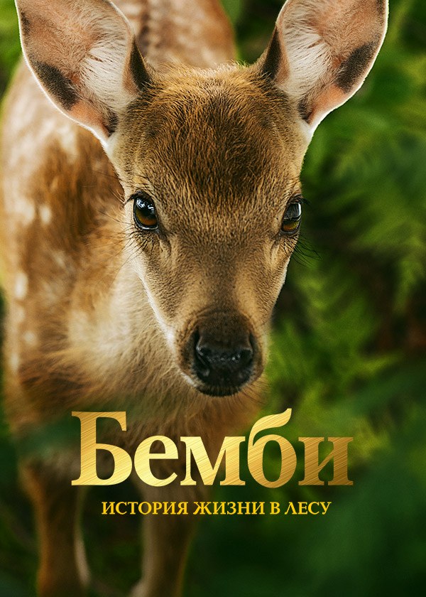 Бемби. История жизни в лесу