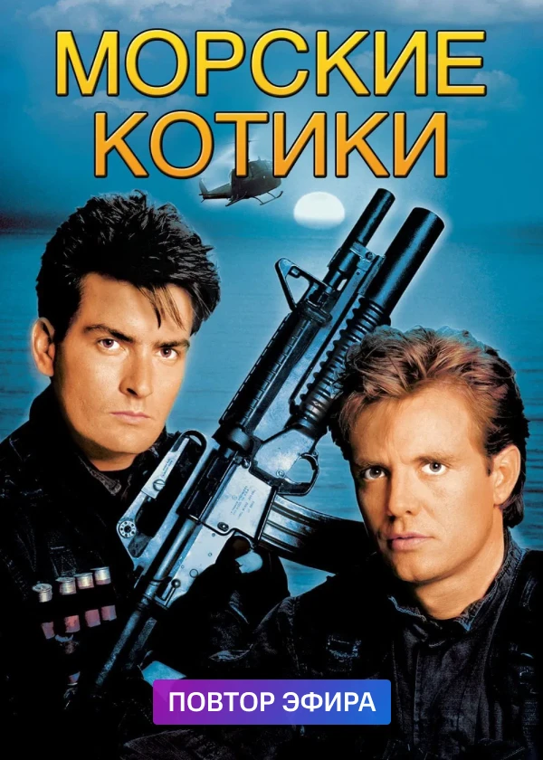 Морские котики