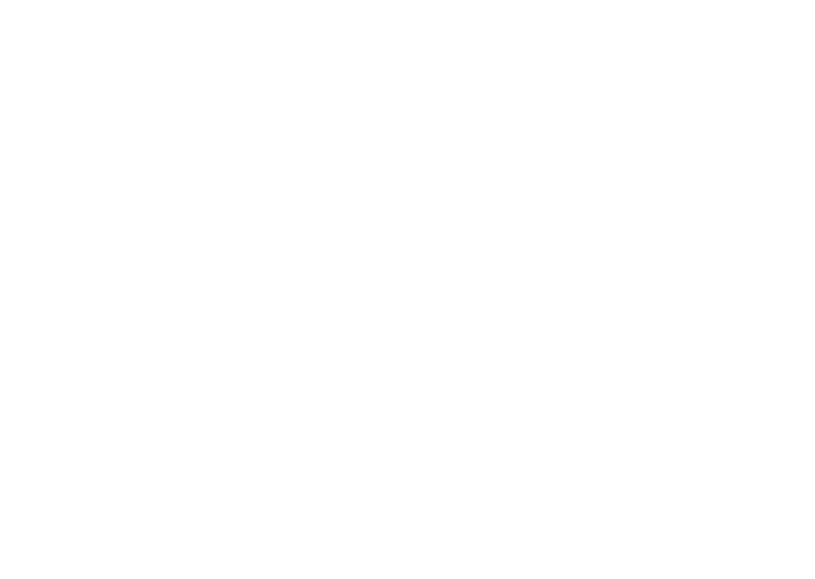 Самозванцы