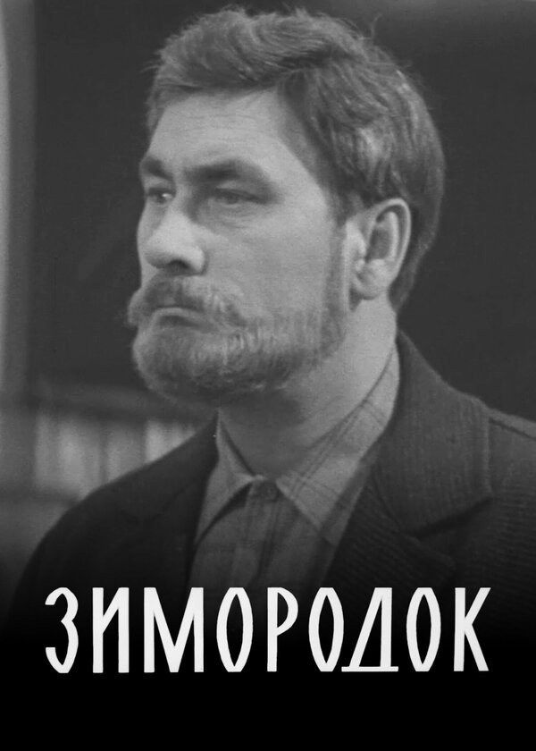 Зимородок Зимородок