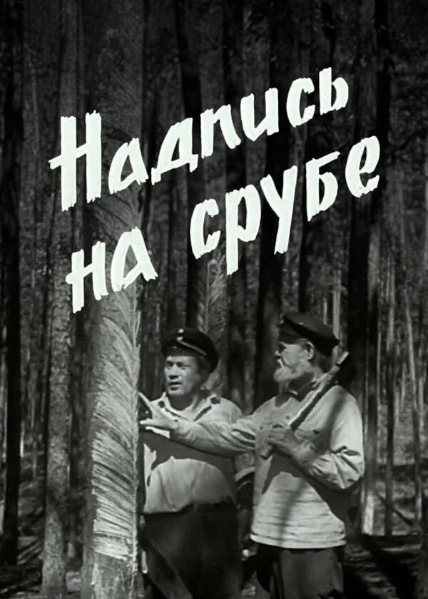 Надпись на срубе