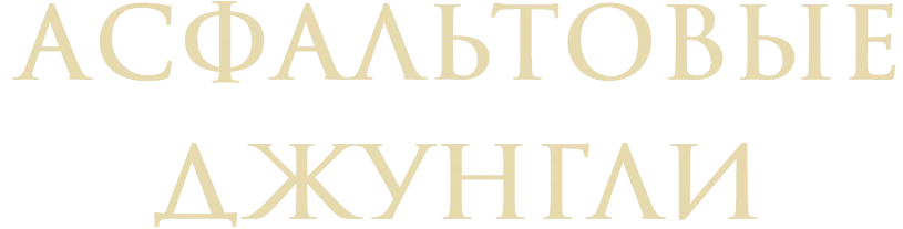Асфальтовые джунгли