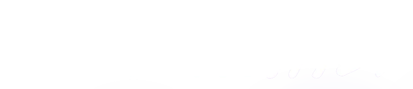 Тюльпаны