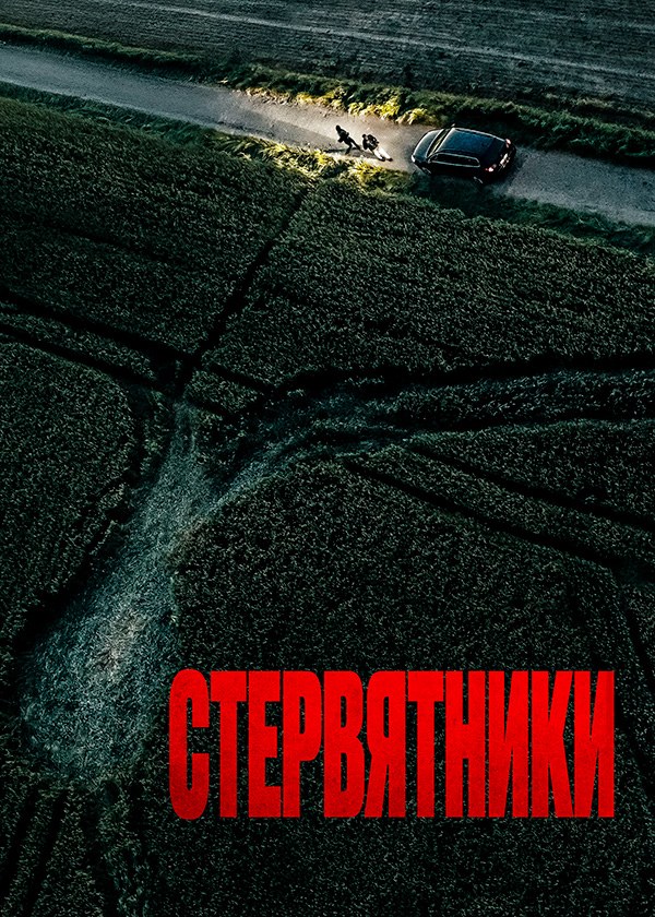 Стервятники Стервятники