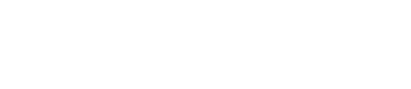 Идеальные напарники