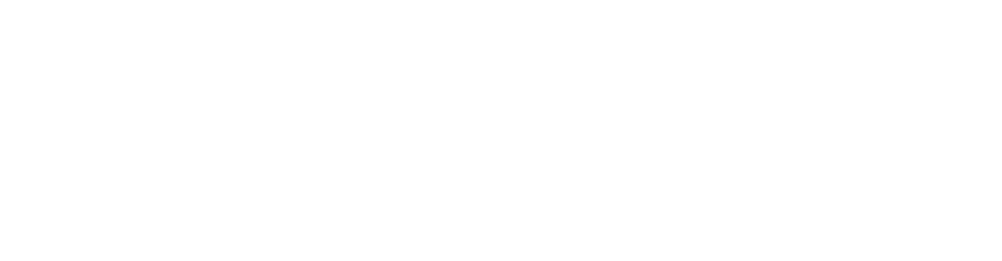 Форсаж. Гонка на выживание логотип