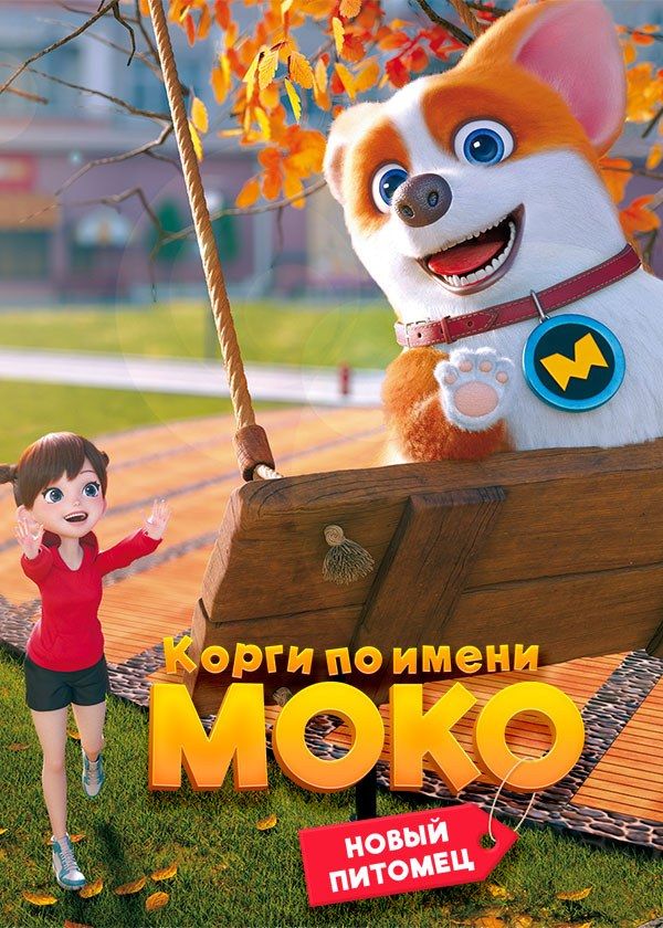 Корги по имени Моко. Новый питомец Корги по имени Моко. Новый питомец