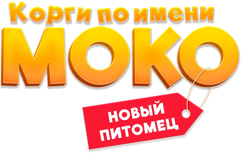 Корги по имени Моко. Новый питомец