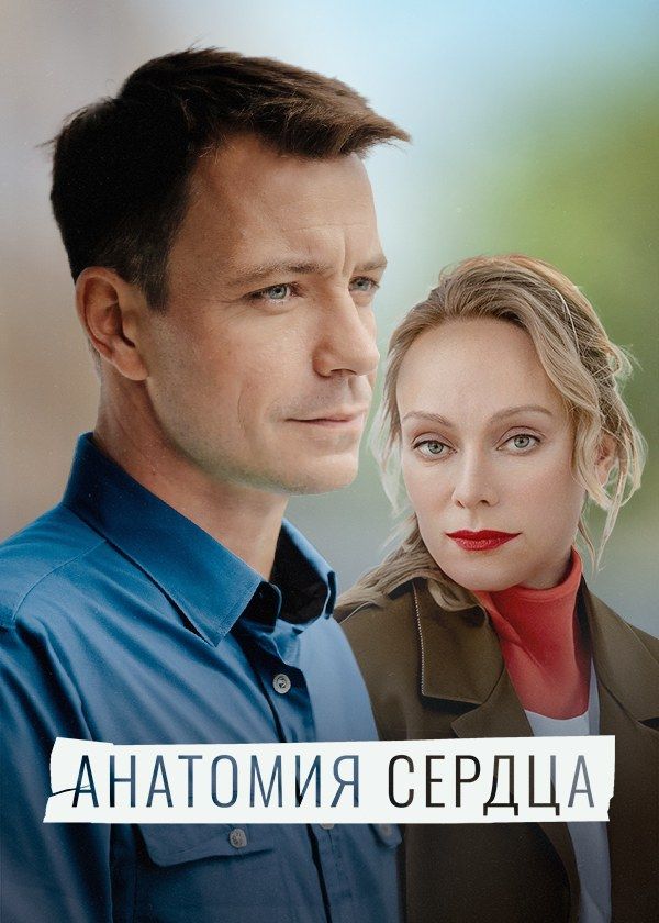 Анатомия сердца Анатомия сердца