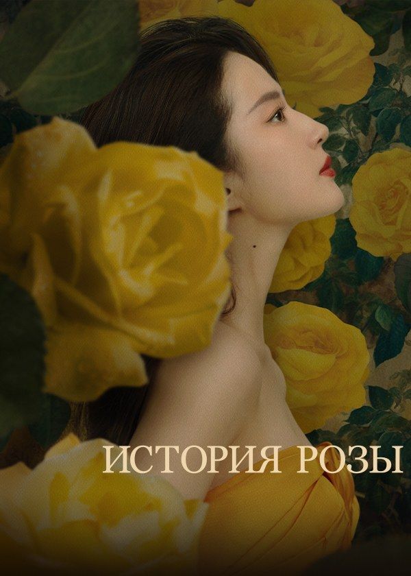 История розы История розы
