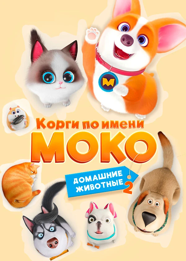 Корги по имени Моко. Домашние животные 2