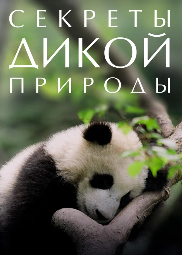 Секреты дикой природы