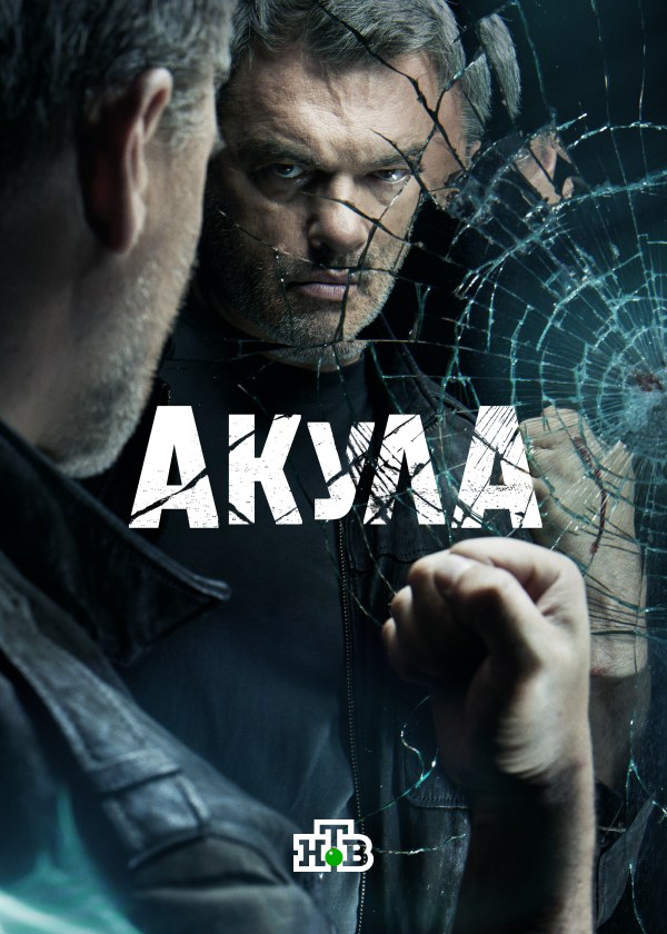 Акула Акула