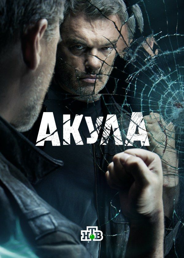 Акула Акула