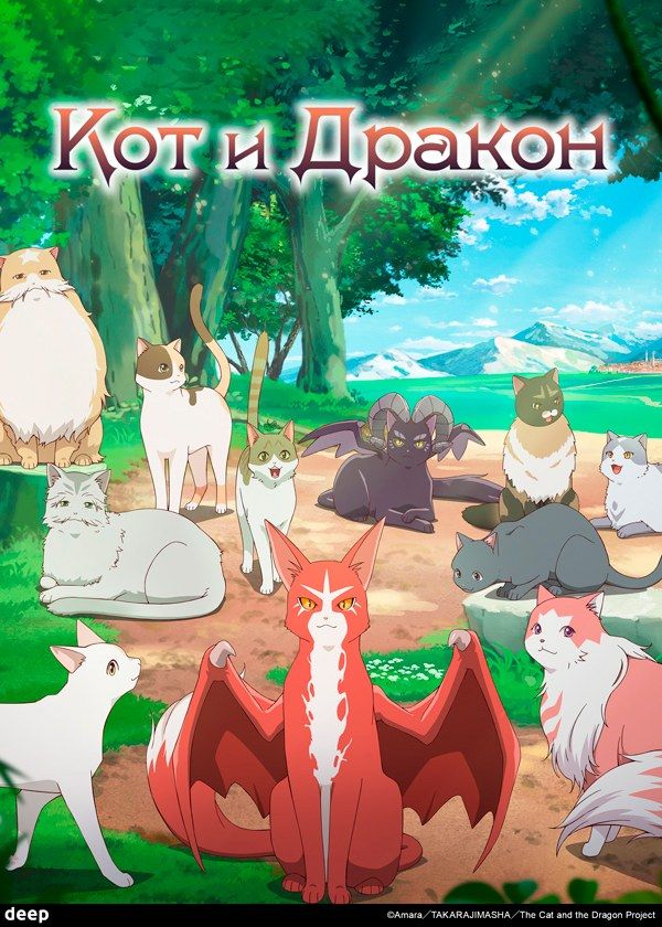 Кот и дракон