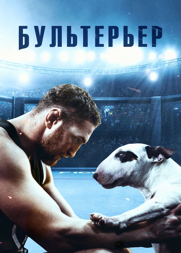 Бультерьер