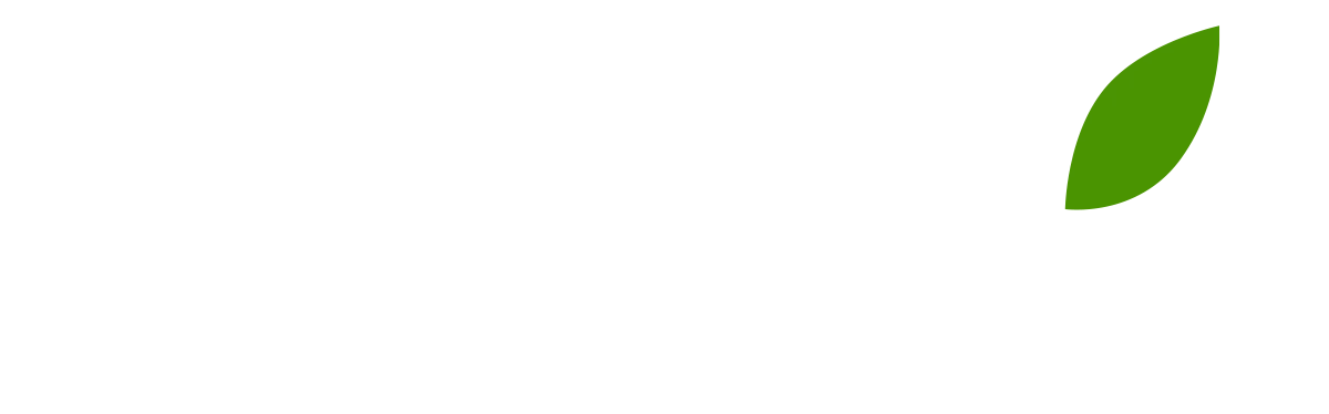 Последний из Магикян