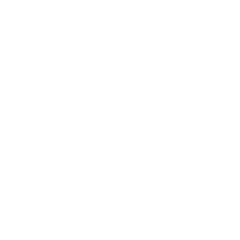 Спорт