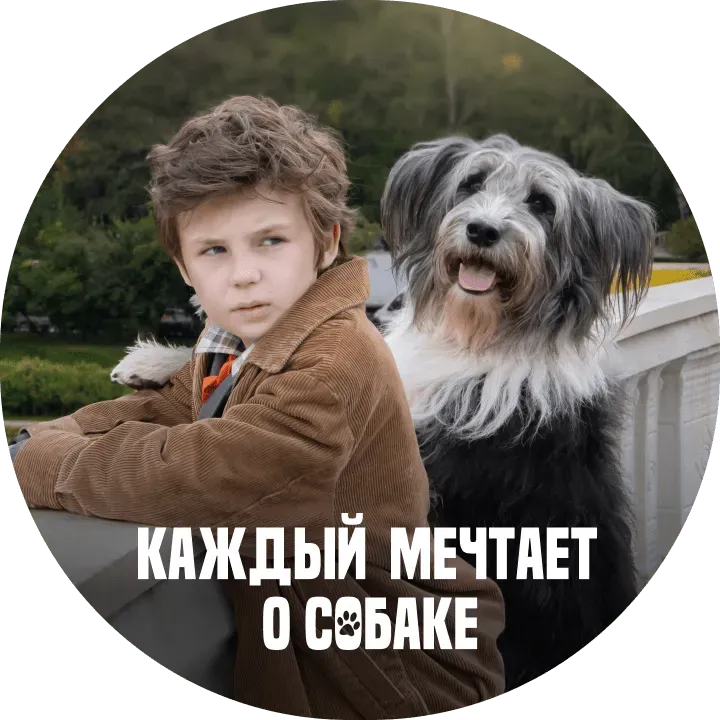 Каждый мечтает о собаке